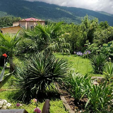 Tikhanya Gavan Guest House Gagra Bagian luar foto