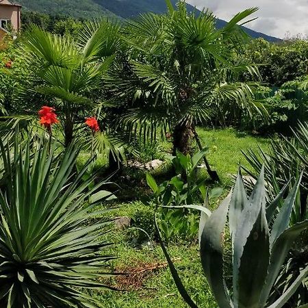 Tikhanya Gavan Guest House Gagra Bagian luar foto